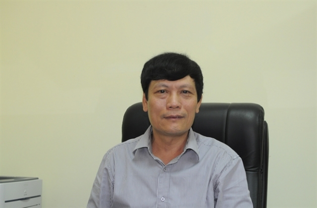 Xuất khẩu xoài sang Nhật Bản sẽ có đột phá vào 2016