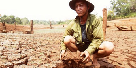 Dự báo nắng nóng còn gay gắt, cấp bách chống hạn