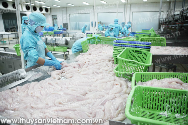 Quy định thu phí thẩm định kinh doanh cá tra