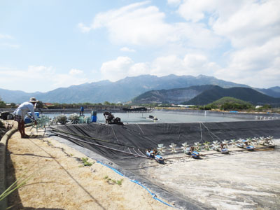 Xã Vĩnh Thái (Khánh Hòa): Cố níu kéo với con tôm