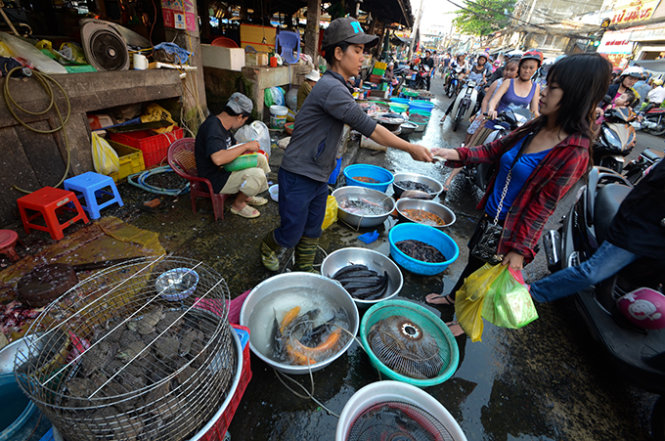 Cá nuôi “đội lốt” cá đồng