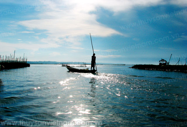 Hội Nghề cá Thừa Thiên - Huế: Duy trì quyền lợi cho hội viên