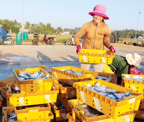 Quảng Ngãi: Luồng thông, cá về