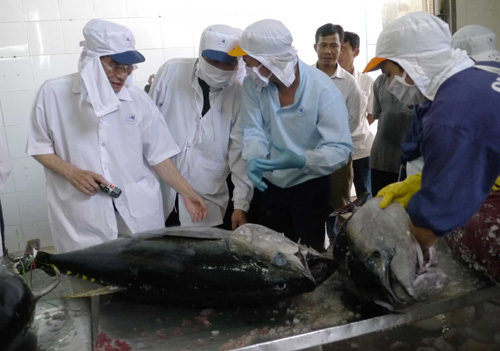 Hủy xuất khẩu lô hàng cá ngừ để giữ uy tín