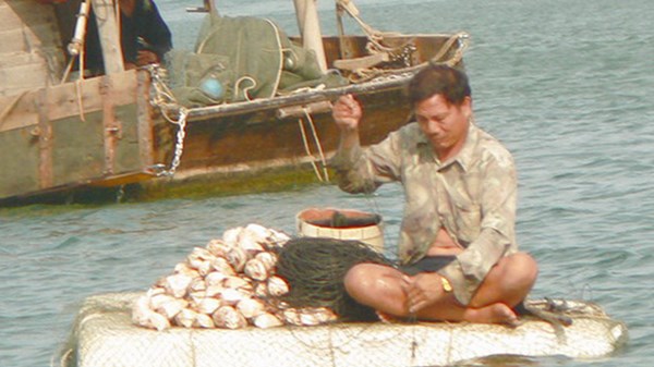 Lênh đênh nghề mực giữa khơi xa