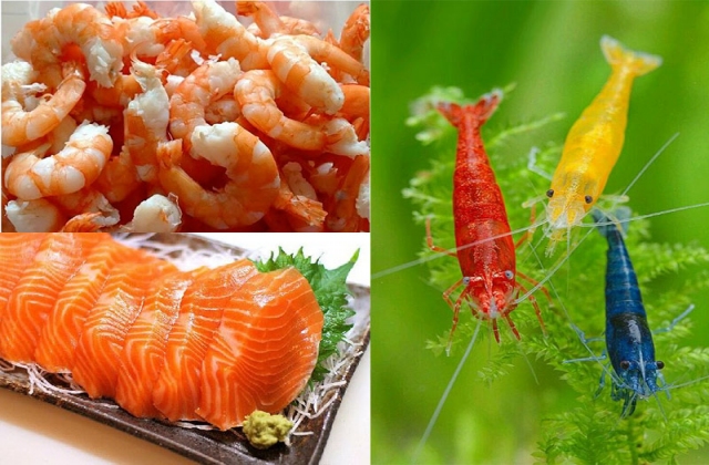 Astaxanthin trong thức ăn thủy sản