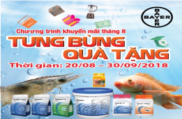 Vực dậy nghề nước mắm truyền thống