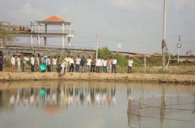 Hỏi - Đáp Thủy sản tháng 10/2015 (P. 1)