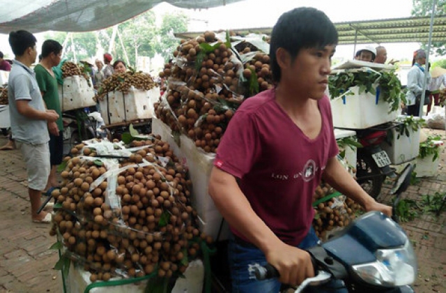 Xây dựng thương hiệu nông sản Việt Nam còn quá nhiều bất cập