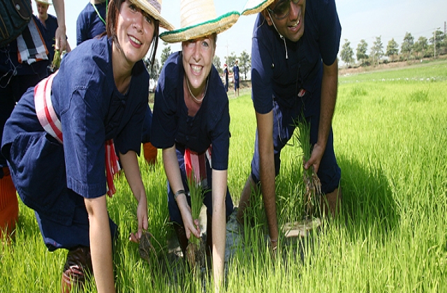 Sự phát triển của nông nghiệp Thái Lan