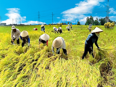 Hơn 5 triệu lao động nông thôn có việc làm trong 5 năm