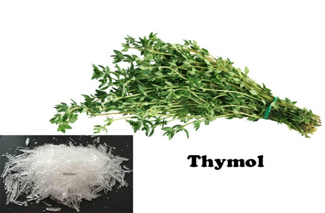 Tác dụng axit hữu cơ kết hợp tinh dầu trên tôm thẻ chân trắng