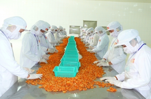 Phạt một người nước ngoài thu mua tôm trái phép