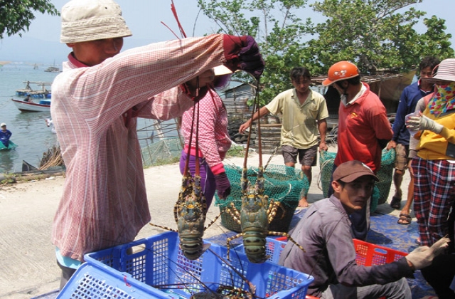 Cần những giải pháp căn bản