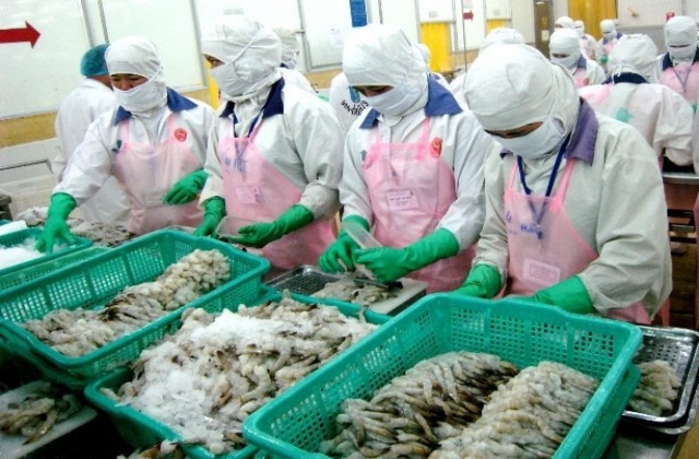Người nuôi tôm phải ký cam kết không bơm tạp chất