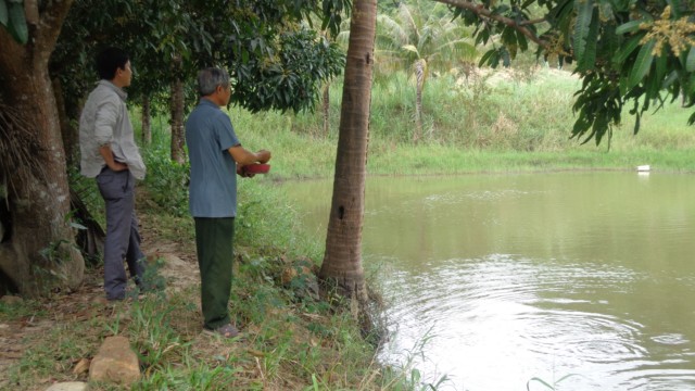 Gương làm giàu của ông Hai Tỏ