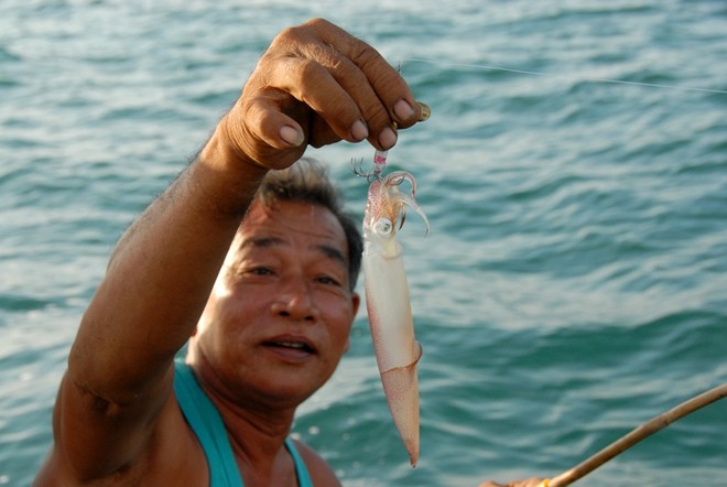 Nghề câu mực ốc