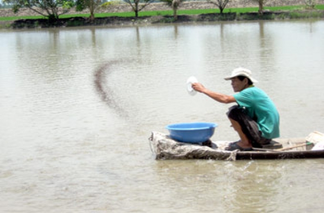 Kết hợp kỹ thuật và công nghệ trong nuôi trồng thủy sản thông minh
