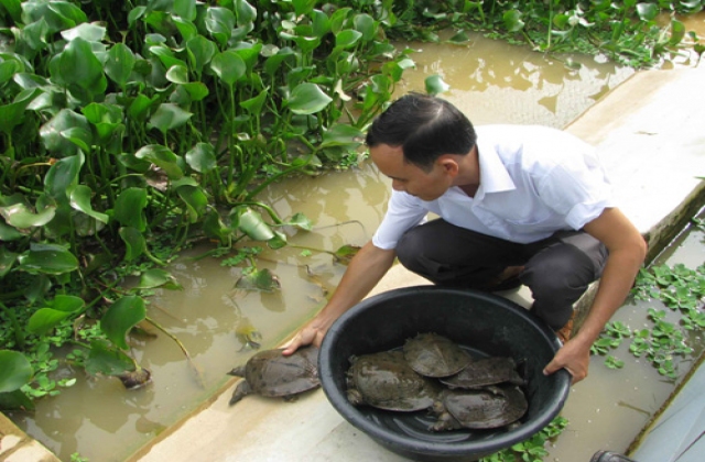Một số biện pháp phòng bệnh cho ba ba