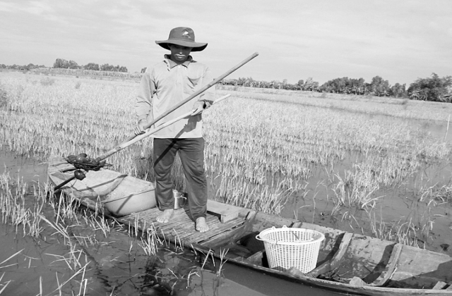 Quản lý sinh vật ngoại lai xâm hại