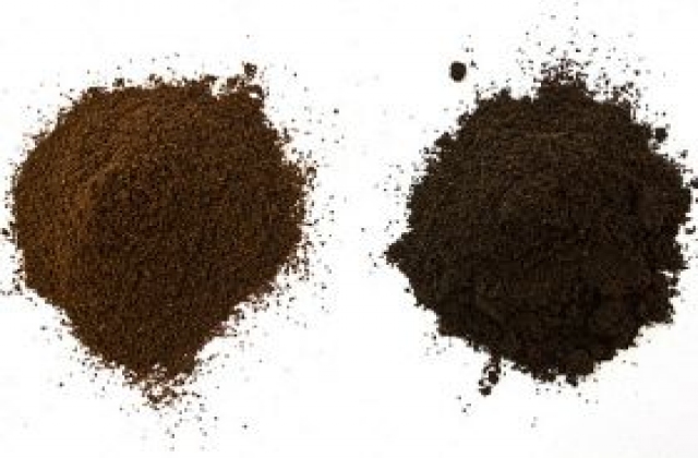 Sử dụng bột đầu nành cải tiến - Cách mạng hóa nguyên liệu thức ăn trong nuôi trồng thủy sản