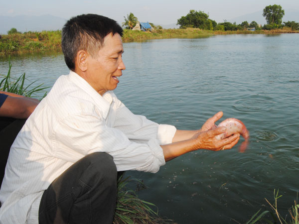 Ninh Bình: Hiệu quả nuôi cá điêu hồng thương phẩm