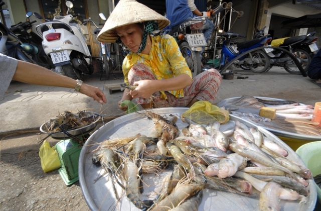 Cá đồng khan hiếm, giá tăng cao