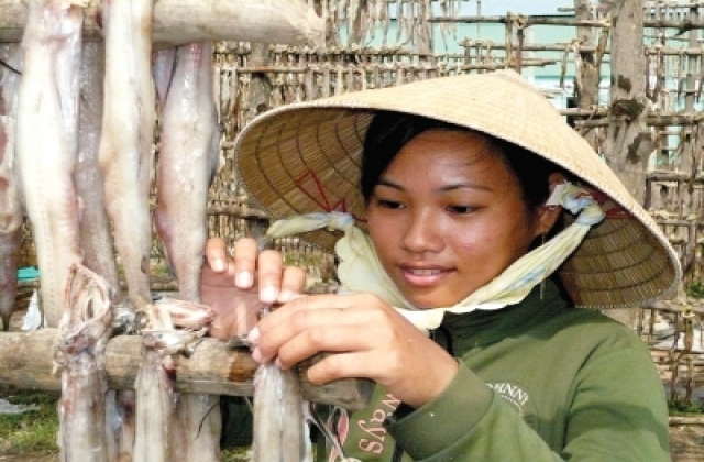 Cà Mau: Khô khoai Cái Ðôi Vàm được mùa, được giá