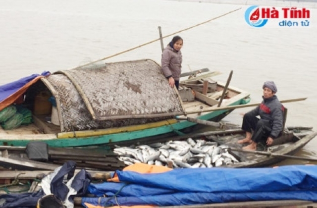 Rét đậm gây thiệt hại 14 tỷ đồng cho nuôi trồng thủy sản