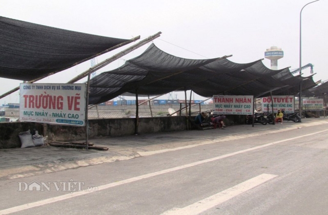 Vụ cá chết bất thường ở Hà Tĩnh: Người trong tỉnh sợ, nước ngoài ngồi ăn vô tư