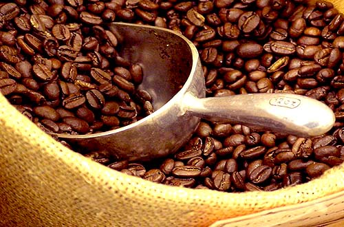 Nông lâm thủy sản xuất siêu gần 9 tỷ USD trong năm 2013