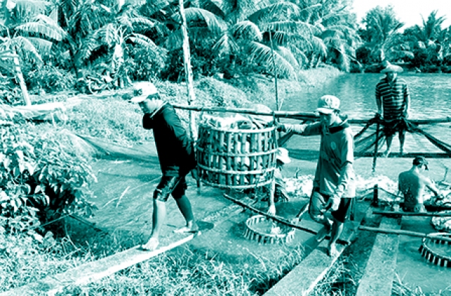 Giá trá tra nguyên liệu giảm xuống mức thấp