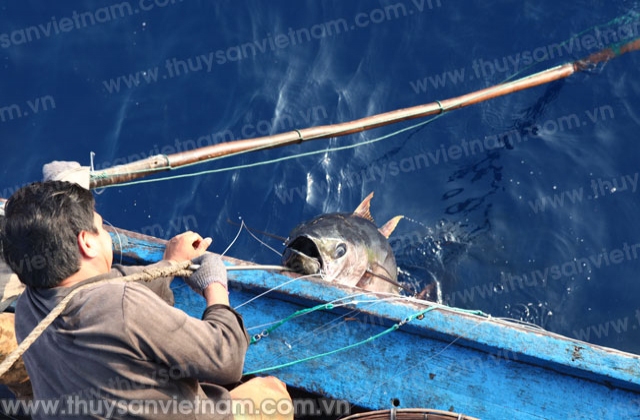 134 tàu cá được phê duyệt