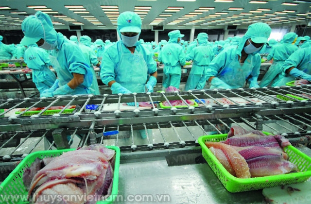 Xây dựng thương hiệu Cá tra Việt Nam