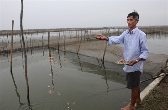 Giàu lên nhờ nuôi trồng thủy sản