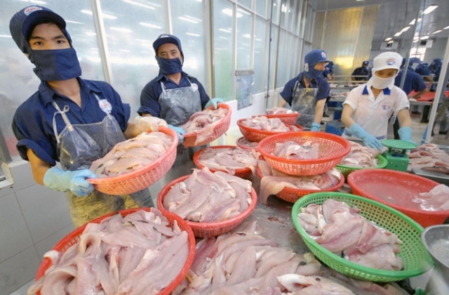 Xuất khẩu thủy sản tăng mạnh