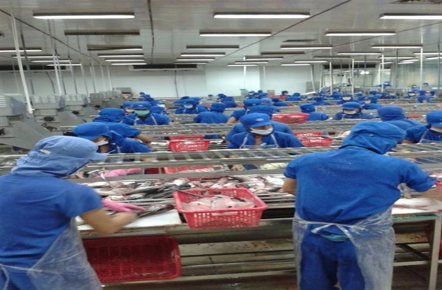 106 tỷ đồng cho giám sát dịch bệnh trên tôm và cá tra