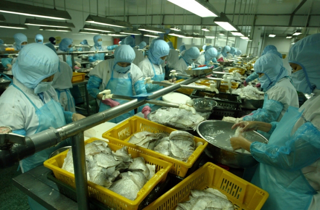 Xuất khẩu cá tra: Vẫn lo tăng trưởng thiếu bền vững