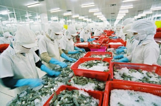 Người Việt tự đầu độc bằng thực phẩm “ngậm” kháng sinh