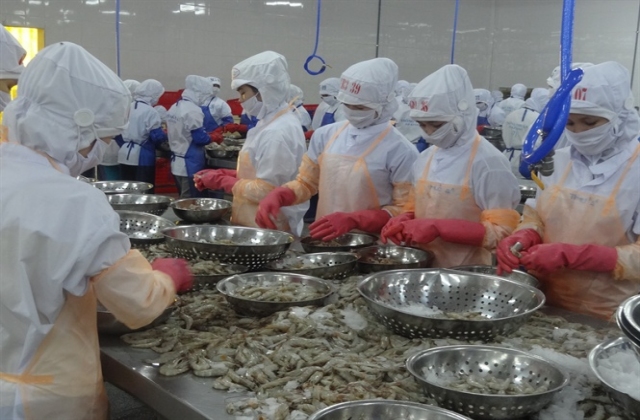 Xuất khẩu tôm lại vấp phải trở ngại lớn ở thị trường Hàn Quốc