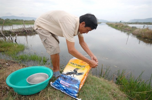 Nông dân ĐBSCL tất bật khôi phục thả tôm