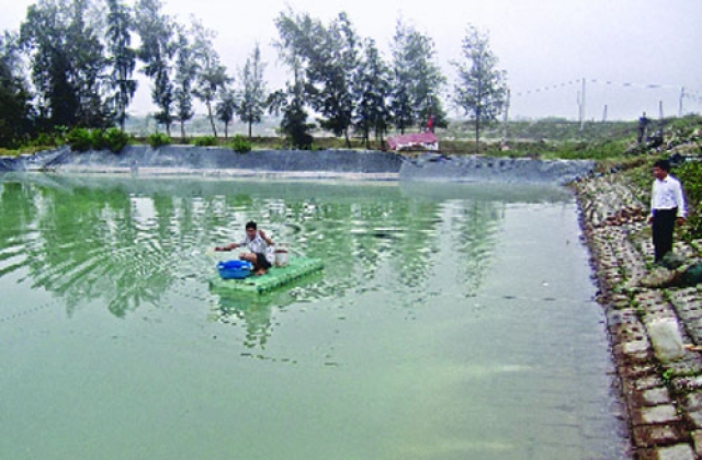 Huyện Hậu Lộc: Phấn đấu năm 2016 đạt 36.000 tấn thủy sản trở lên