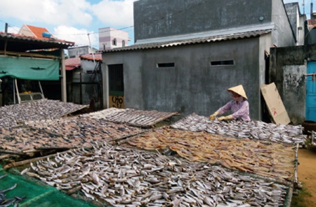 Thiếu nguồn nguyên liệu - làng nghề chế biến hải sản gặp khó