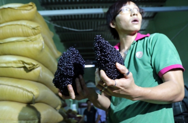 Cà phê bẩn: Khi cà phê không có... caffeine