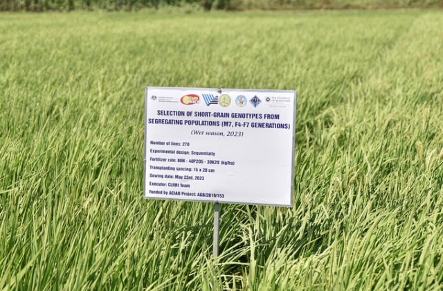 Đổi mới nghiên cứu khoa học nông nghiệp: Cần chú trọng đầu tư nghiên cứu cơ bản