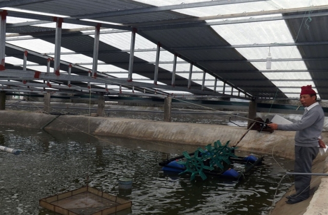 Nghệ An: Thay đổi phương thức nuôi, nếu không muốn ôm nợ