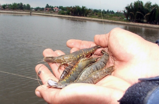 Khẩn trương phòng chống dịch bệnh