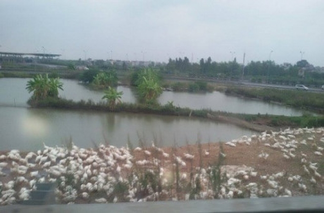 Tăng cường phòng, chống dịch trước và sau Tết