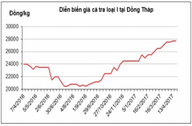 Giá cá tra nguyên liệu tại Đồng bằng sông Cửu Long