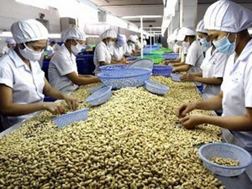 Xuất khẩu nông sản 2014 - Vẫn chưa suôn sẻ!